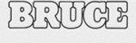 Logo BRUCE